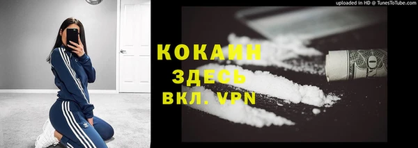МДПВ Нефтегорск