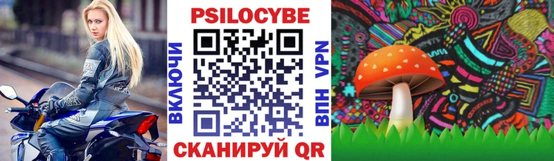 Галлюциногенные грибы Cubensis Мичуринск