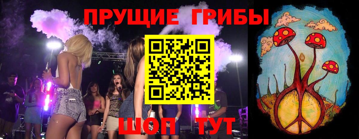 Мичуринск  Псилоцибиновые грибы прущие грибы  Вход с VPN 