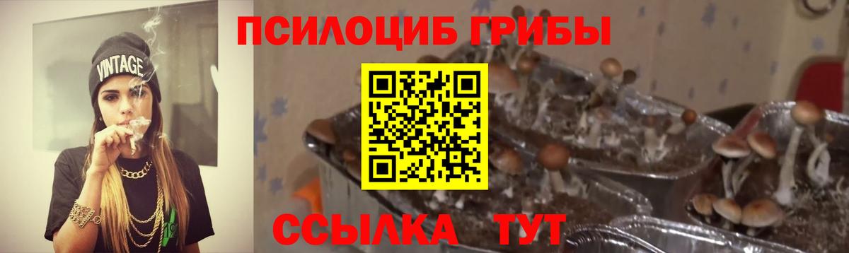 Кокаин  Кокаин  Мичуринск  Гашиш  ГАШ  Мефедрон кристаллы  A PVP СОЛЬ  